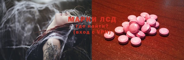 индика Алексеевка