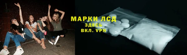 гашик Алексин