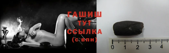 гашик Алексин