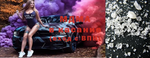 гашик Алексин