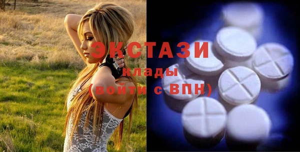 гашик Алексин