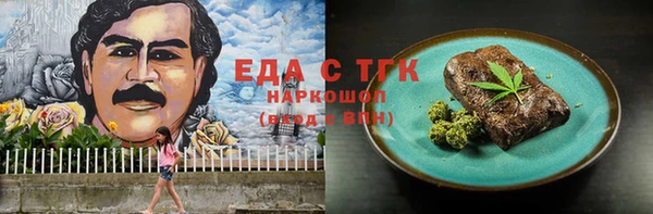 гашик Алексин